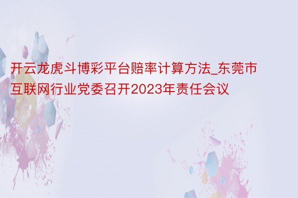 开云龙虎斗博彩平台赔率计算方法_东莞市互联网行业党委召开2023年责任会议